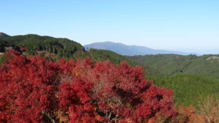 比叡山延暦寺