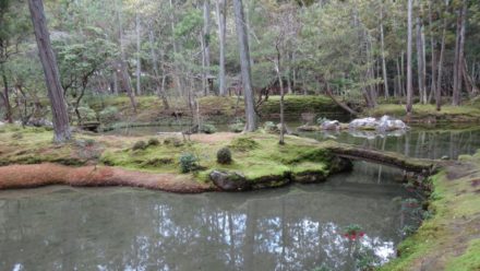 苔寺 西芳寺