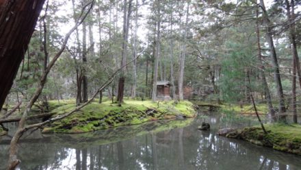 苔寺 西芳寺