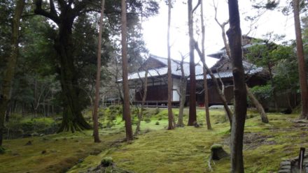 苔寺 西芳寺