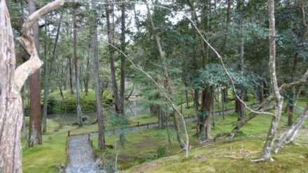 苔寺 西芳寺