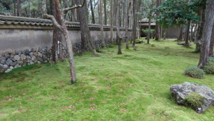 苔寺 西芳寺