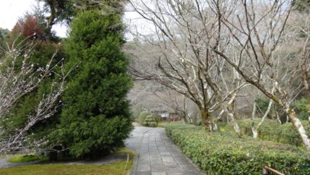 苔寺 西芳寺