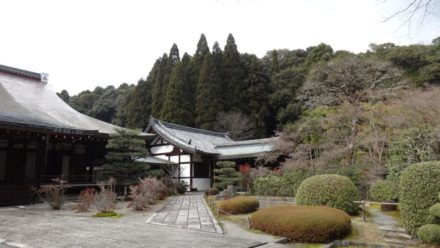 苔寺 西芳寺