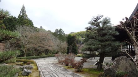 苔寺 西芳寺