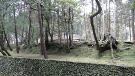 苔寺 西芳寺