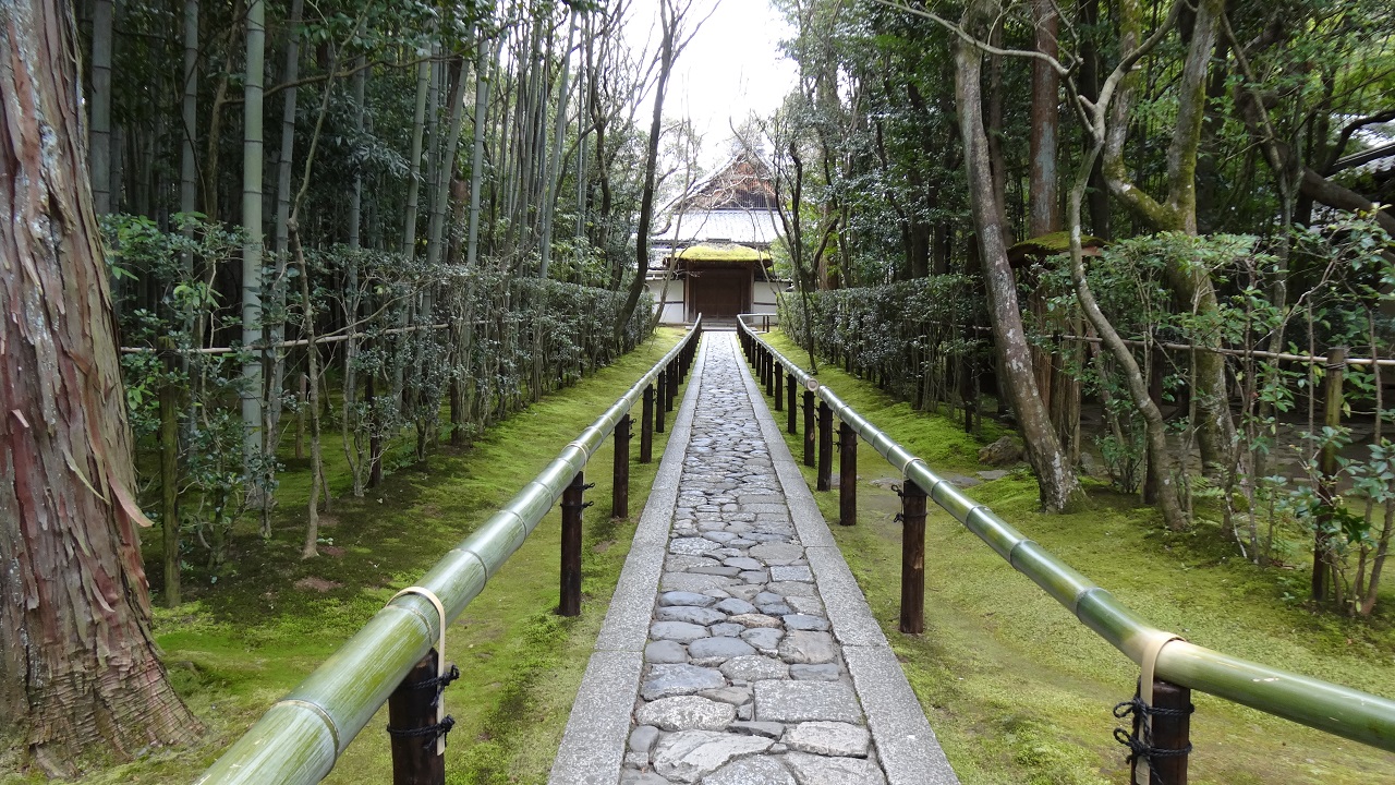 幻想的な癒し空間の御朱印～高桐院