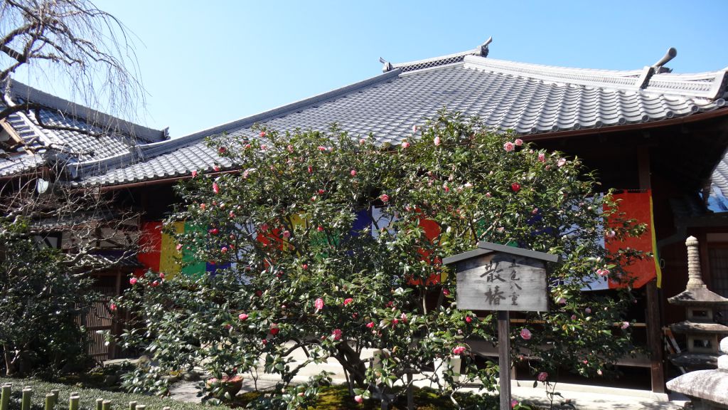 椿寺 地蔵院