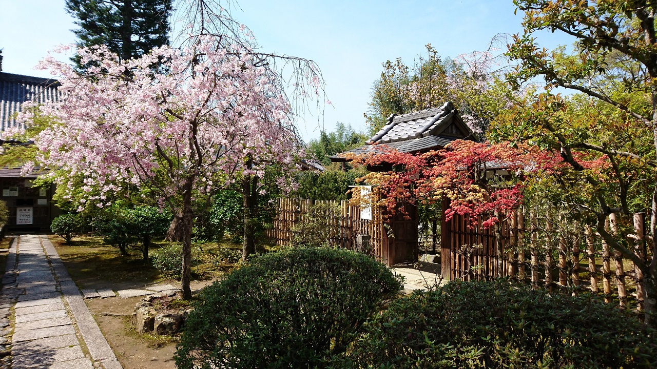 青山翠の風景～妙心寺塔頭 大法院