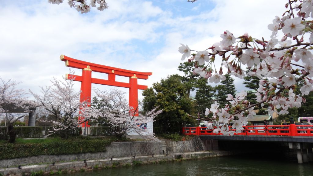平安神宮 桜2016