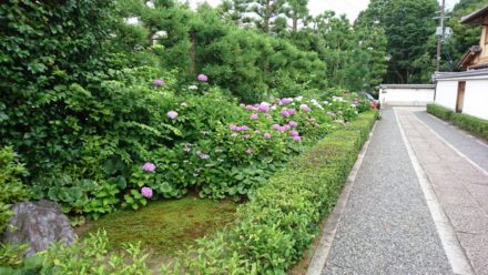 妙心寺塔頭　東林院