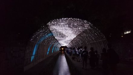 京の七夕　光の天の川