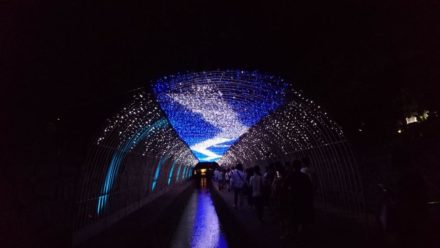 京の七夕　光の天の川