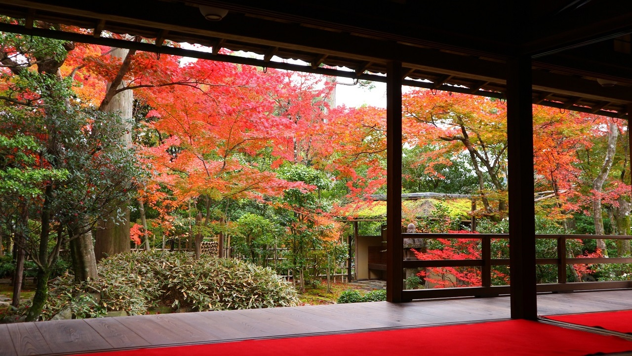 京都の紅葉 2016まとめ＋御朱印