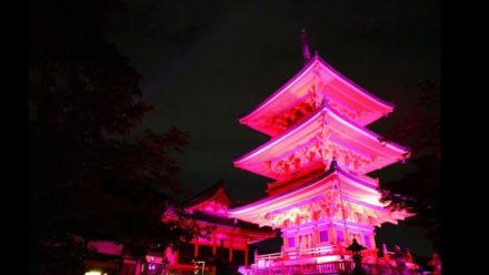 清水寺 ピンクリボンキャンペーン