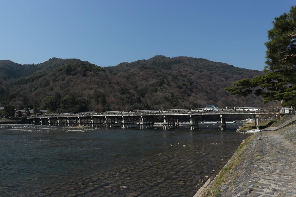 嵐山渡月橋 桜 2017年
