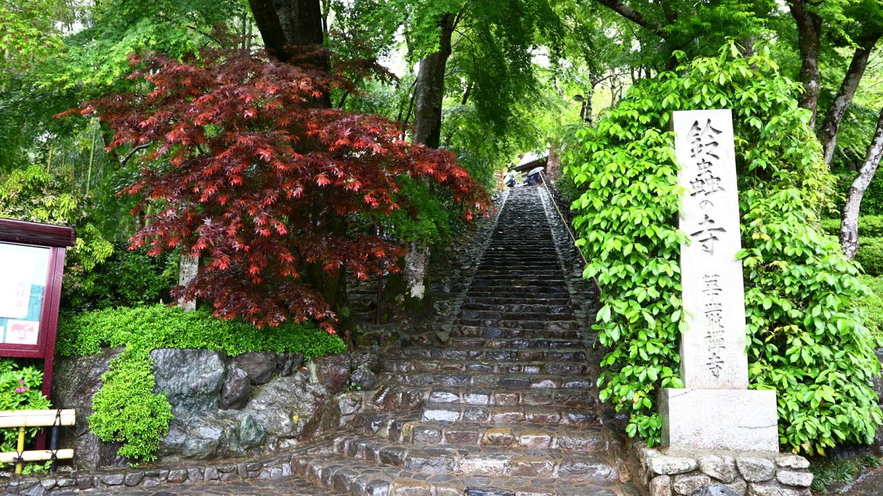 鈴虫寺