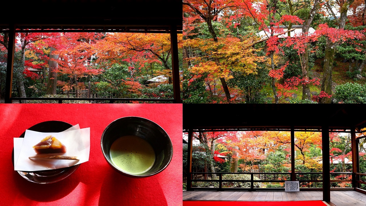 紅葉の美しさ京都No.1～妙心寺大法院