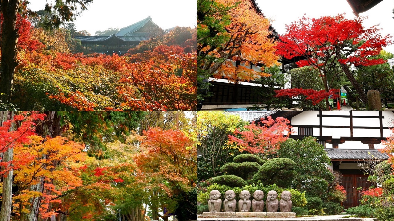 紅葉限定御朱印2017～東福寺+塔頭