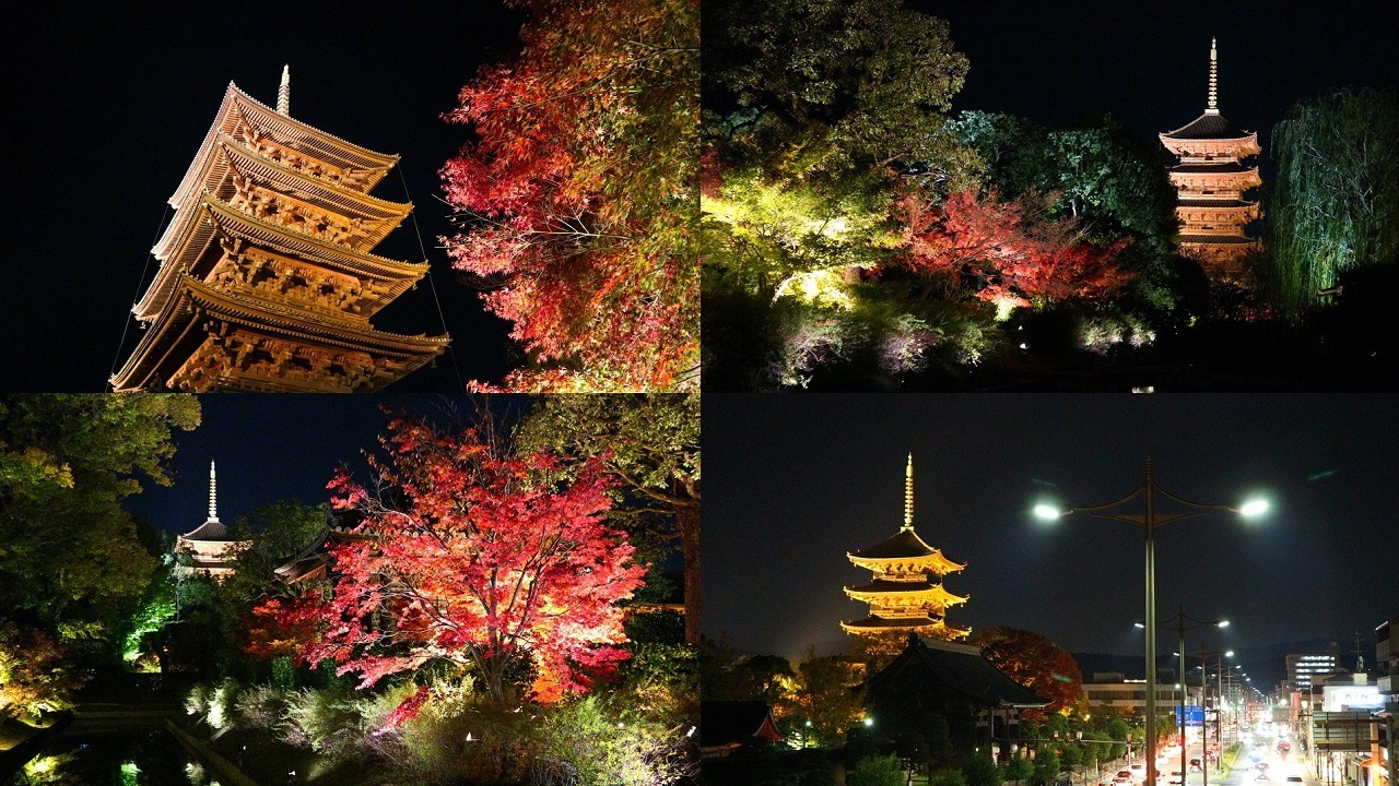 紅葉ライトアップ&限定御朱印～東寺