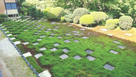 東福寺本坊庭園