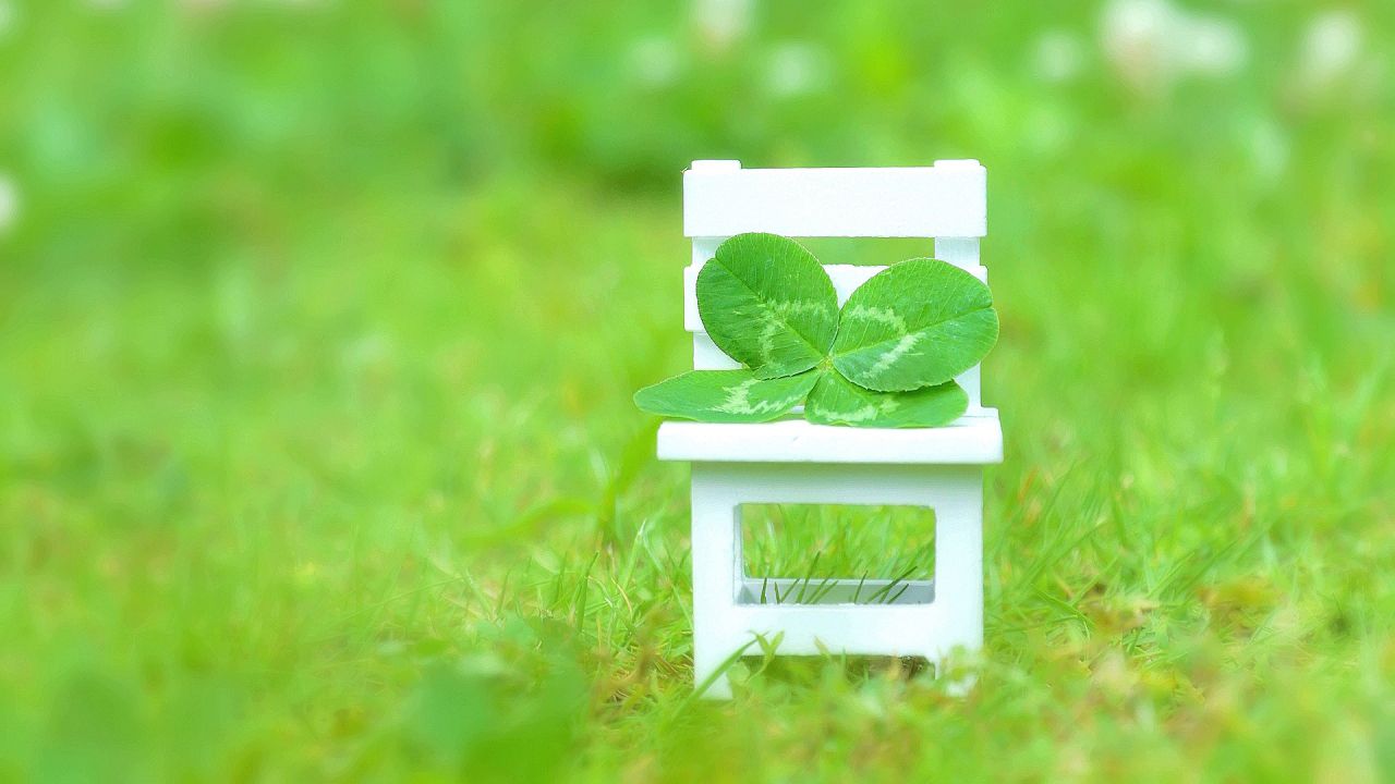 https://www.goshuin.happy-clovers.com/wp-content/uploads/2020/09/CloverChairMV1280.jpg