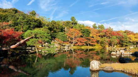 京都 世界文化遺産 天龍寺