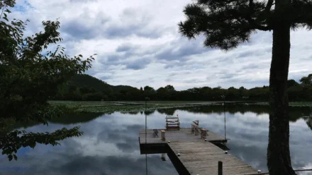 旧嵯峨御所 大覚寺